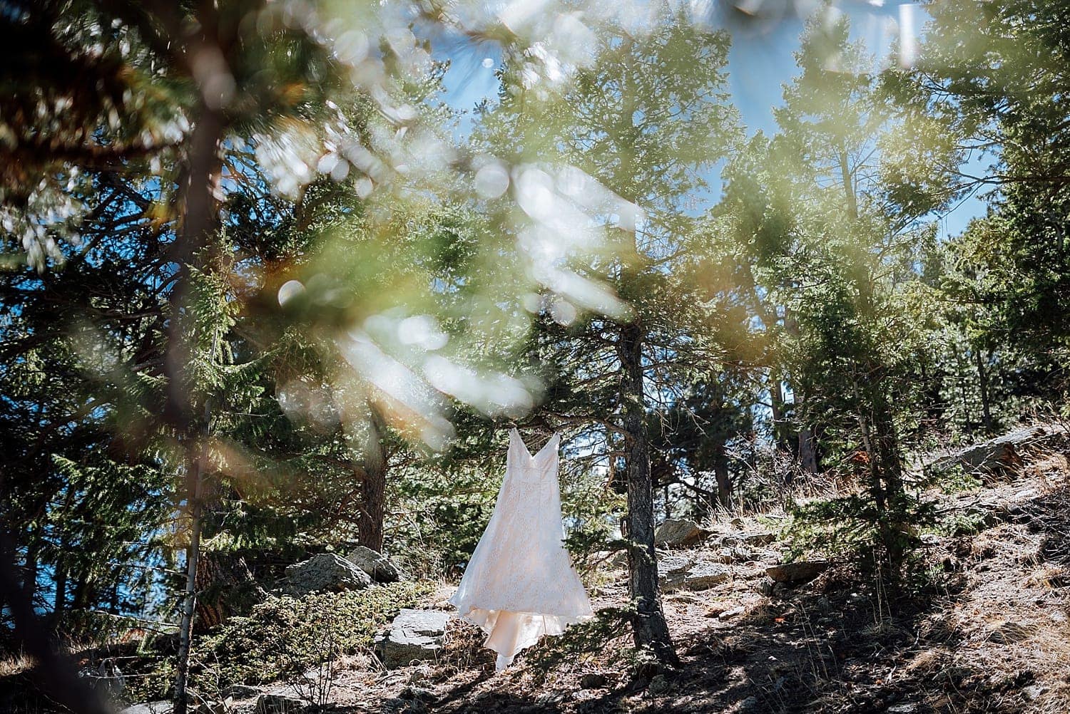 Bride's white dress hands from a tree branch in Estes Park, Colorado.