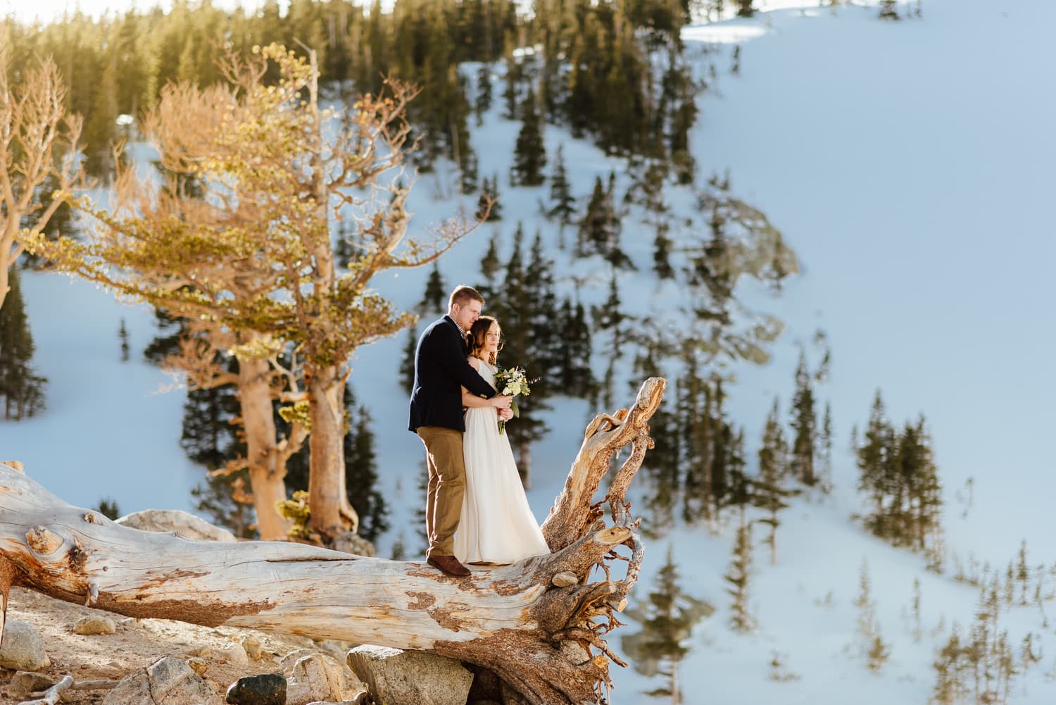Bride and groom stand on fallen tree and look out at landscape at St. Mary's Glacier in Idaho Springs, Colorado. 