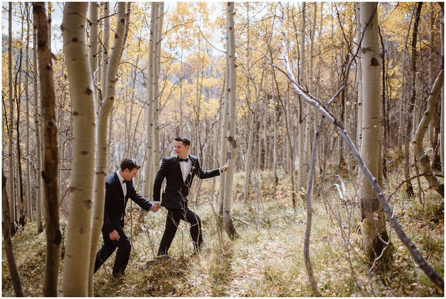 Two grooms walk through an aspen grove, while holding hands, during their all-day elopement in Colorado. 