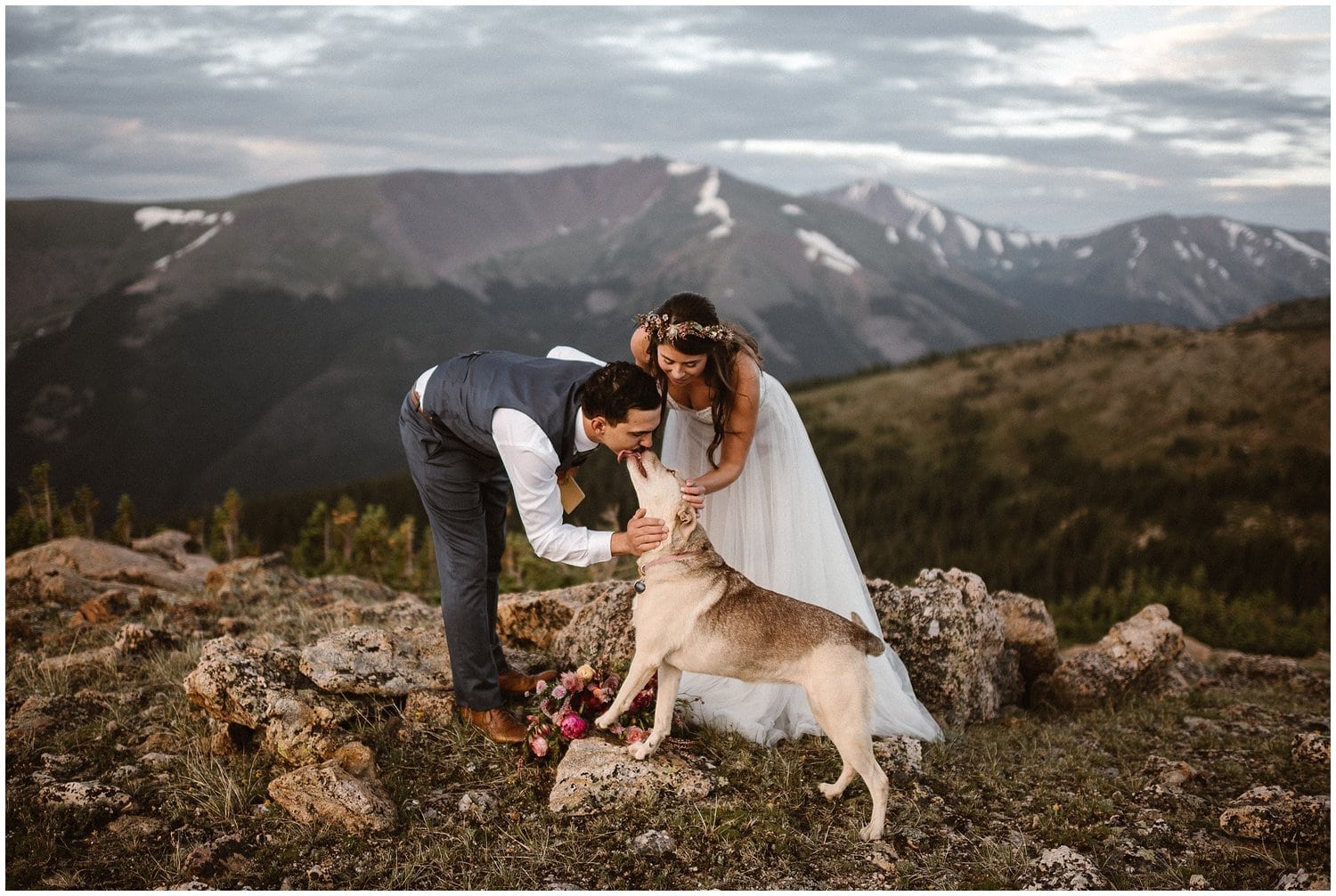 Bride and groom pet their dog in the mountains on their wedding day.