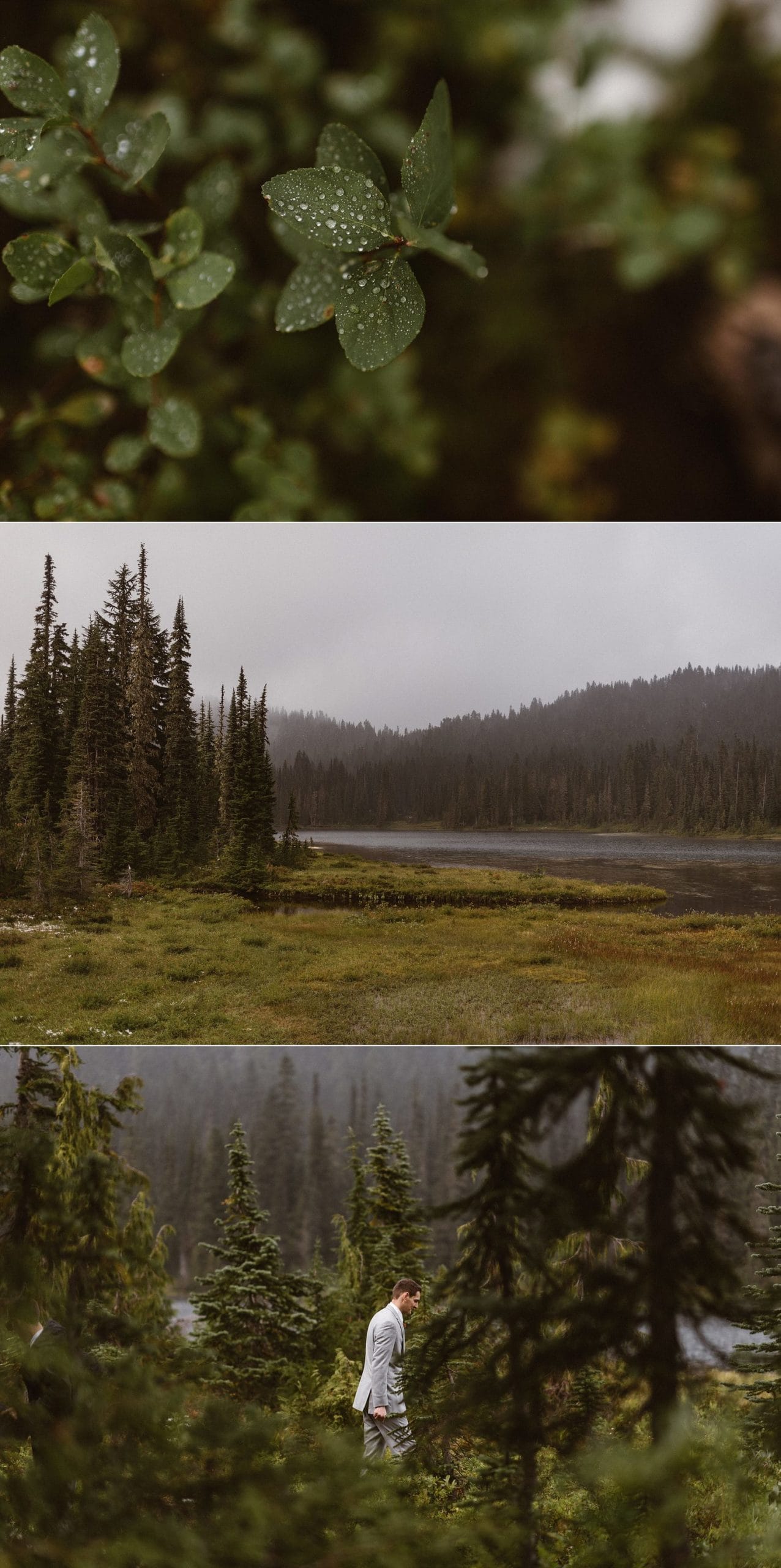 Forest and lake at Mt. Rainier National Park.
