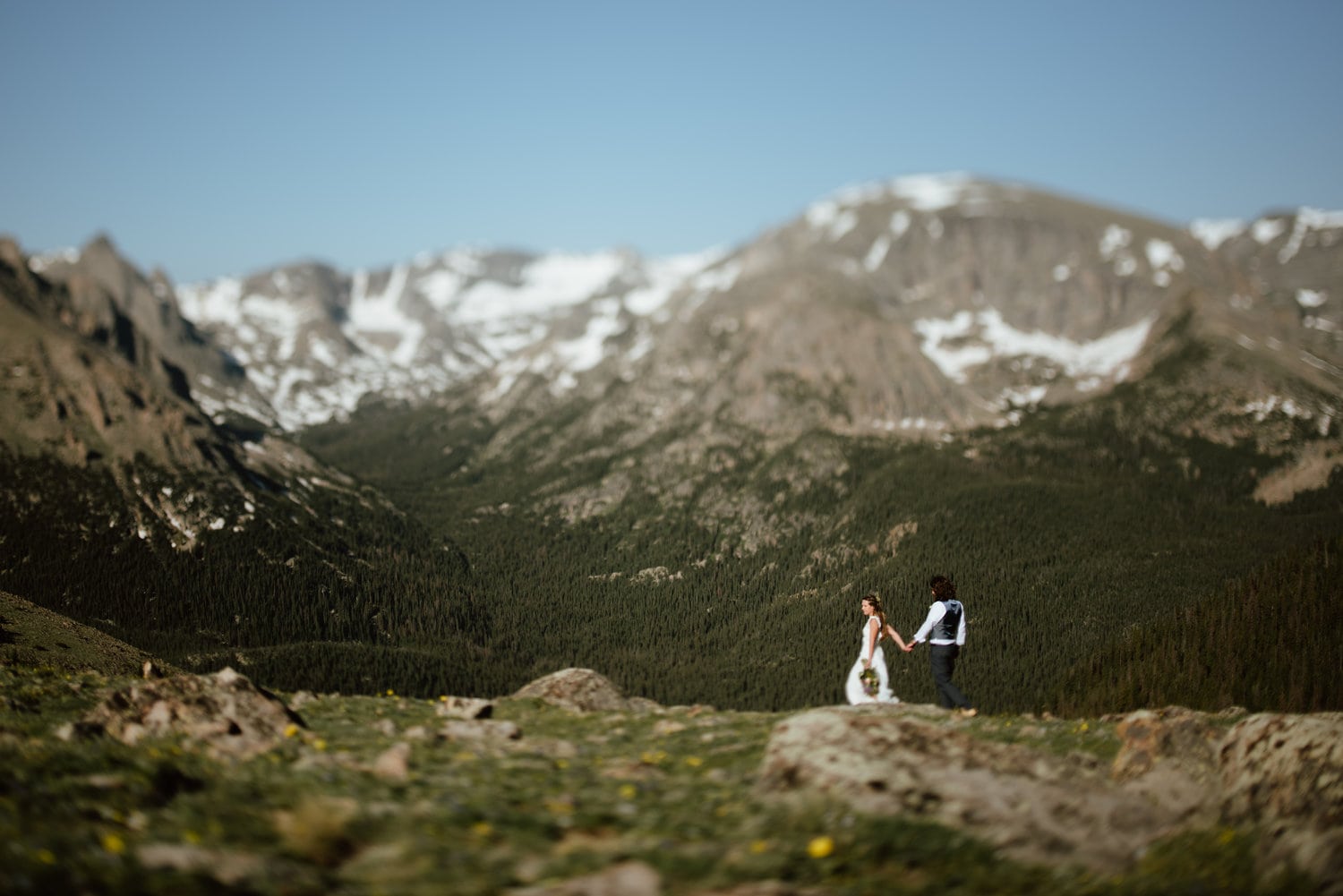 Bride and groom hold hands while walking at Trail Ridge Road in Colorado. There are trees and snow-capped mountains in the background. 