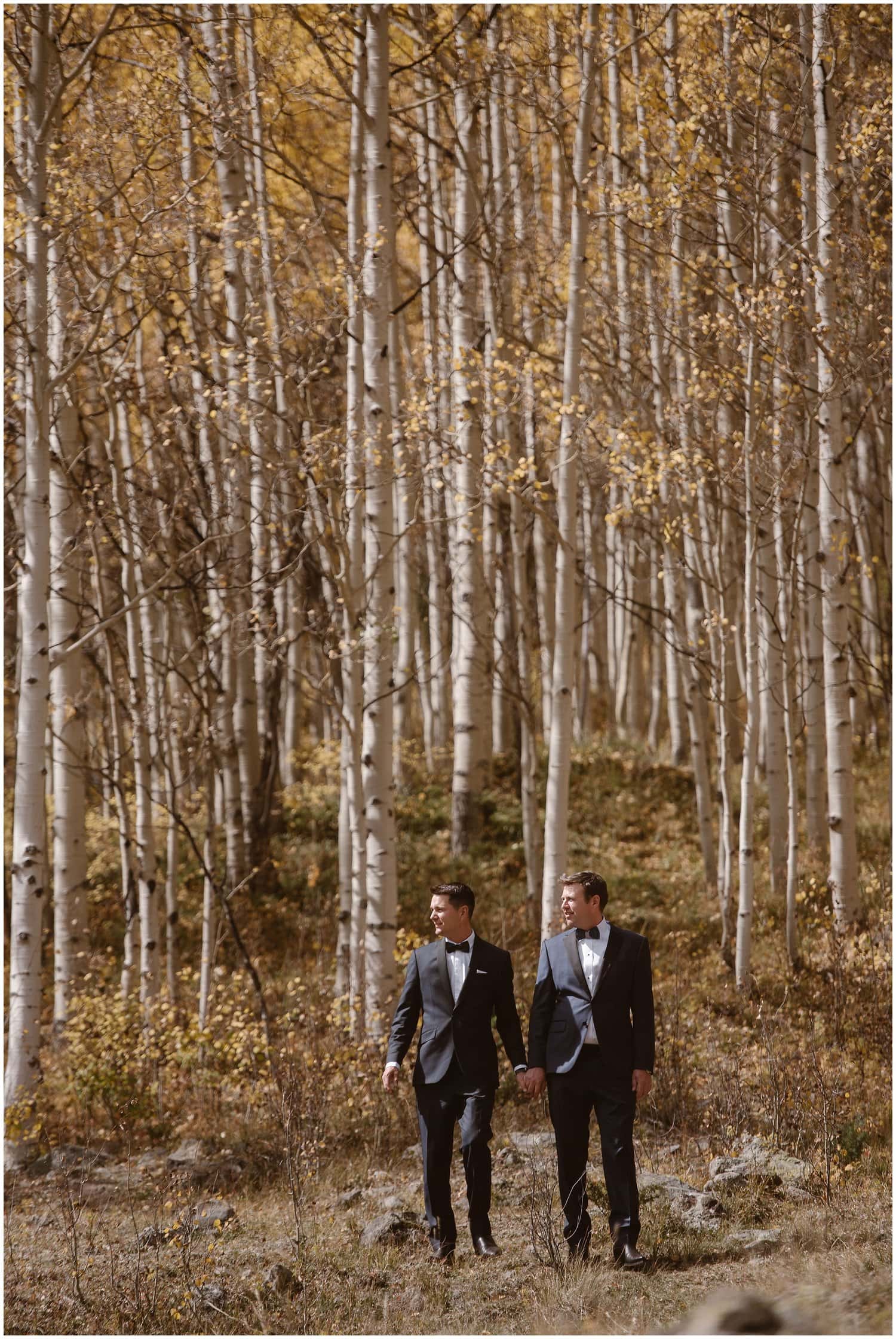 Grooms hold hands and walk through aspen grove together. 