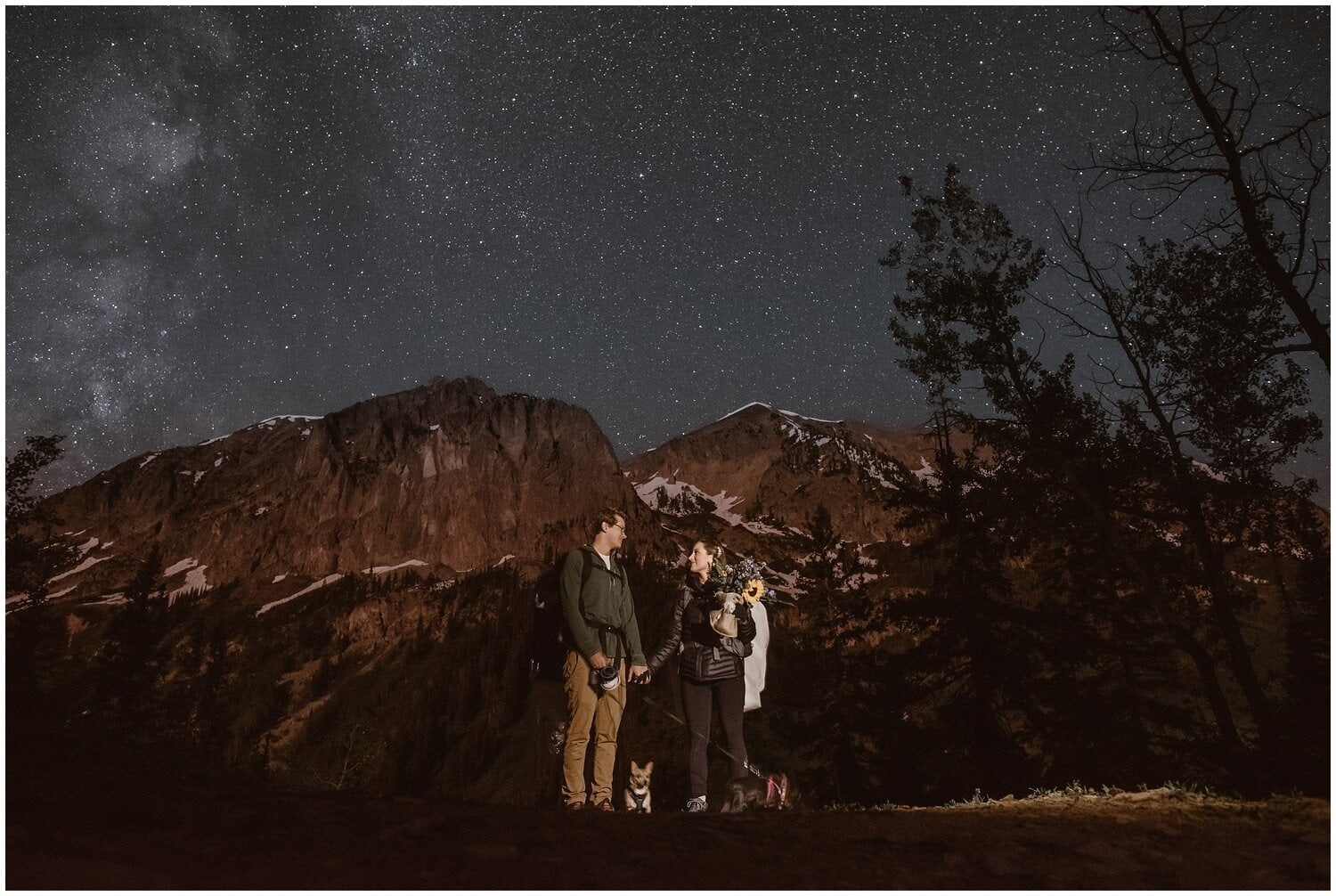 Bride and groom stand in front of mountains in the dark, with their dogs. There are lots of stars in the sky. 