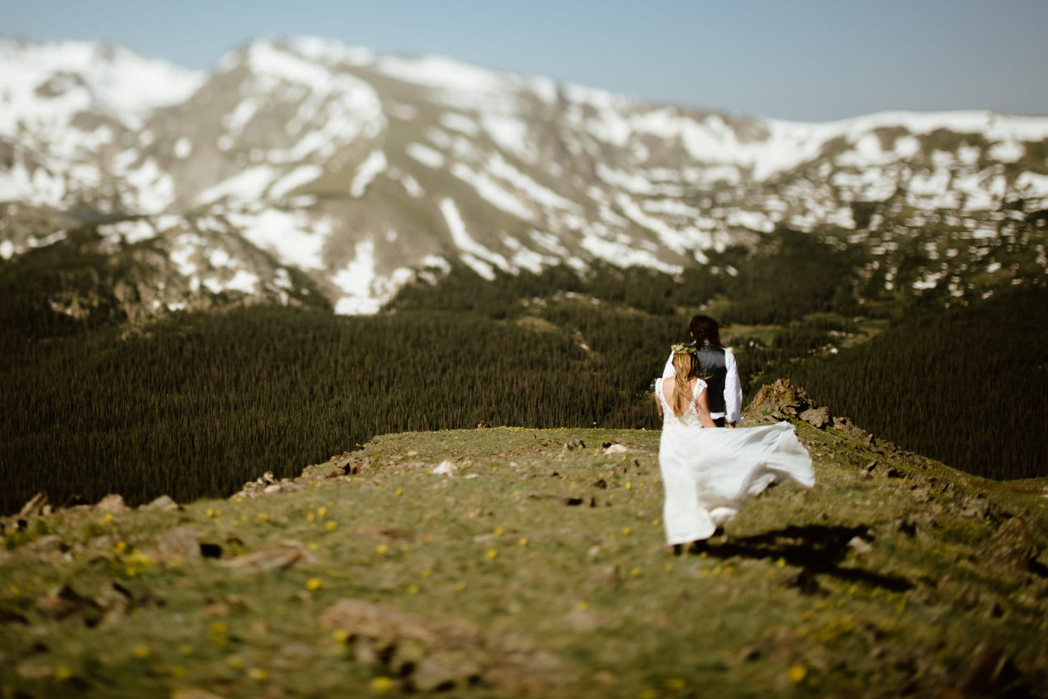Bride and groom hold hands and walk around Trail Ridge Road, Colorado. There are trees and snow-capped mountains in the background. 