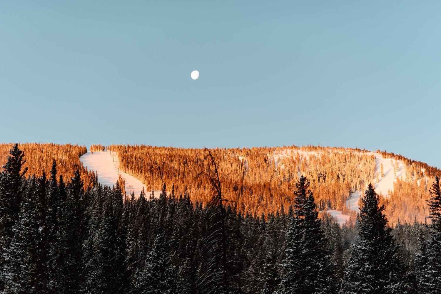Landscape of forest, mountain, and full moon at Indian Peaks, in Colorado. 