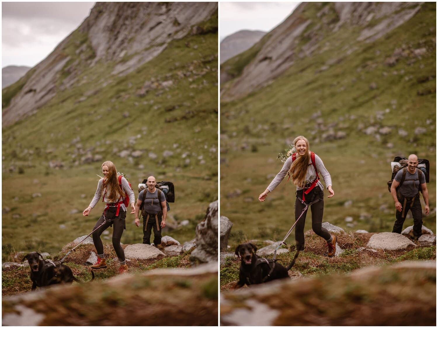 bride and groom hiking with their dog on their elopement day at the Lofoten Islands in Norway.