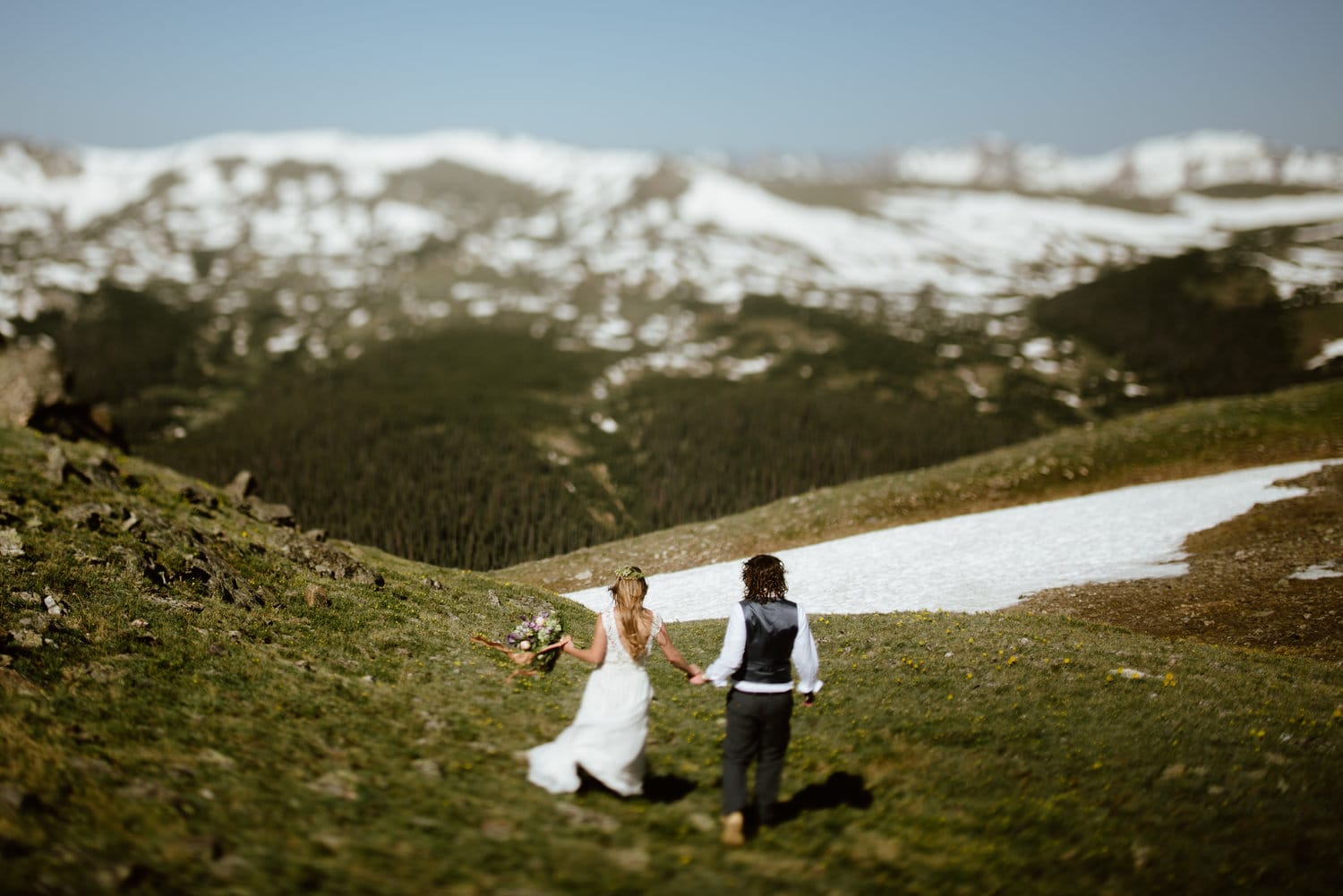 Bride and groom hold hands and walk around Trial Ridge Road, Colorado. There are trees and snow-capped mountains in the background. 
