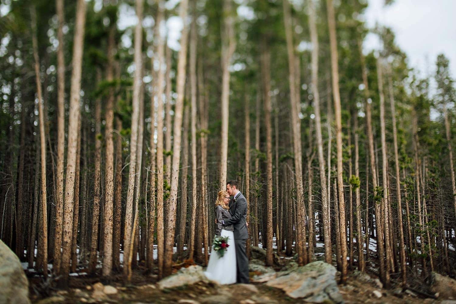 Groom kisses bride on forehead, while standing in front of a forest in Rocky Mountain National Park, Colorado. 