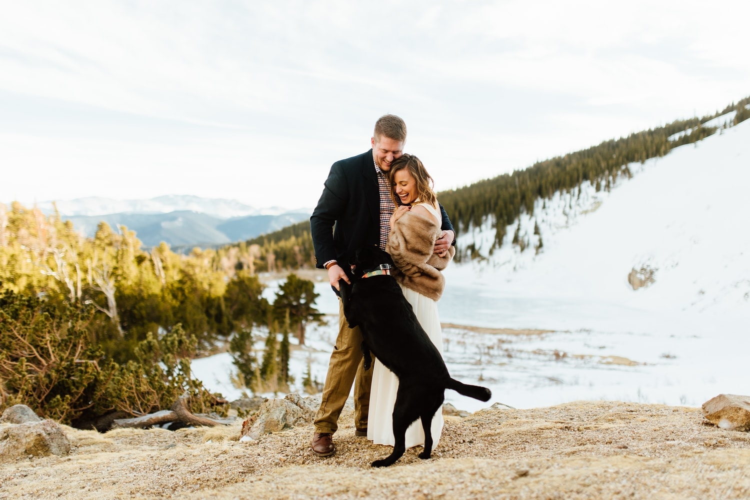 Dog jumps up on bride and groom at St. Mary's Glacier in Idaho Springs, Colorado. 