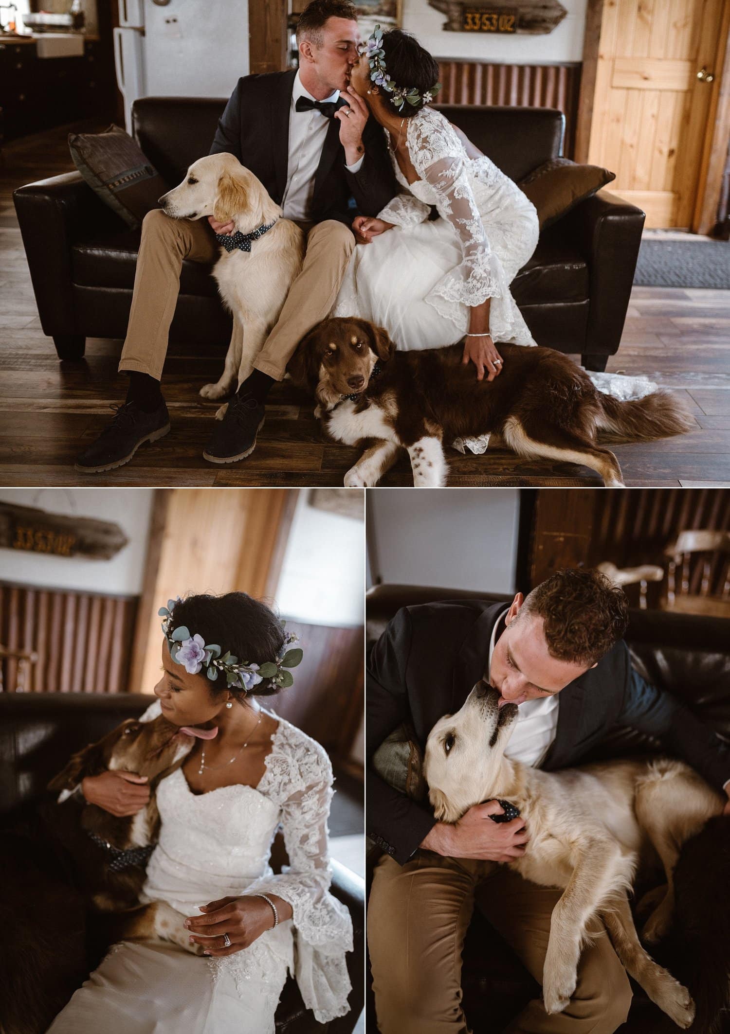 Bride and groom kiss while sitting with their two dogs in a cabin at Loveland Pass, in Colorado. 