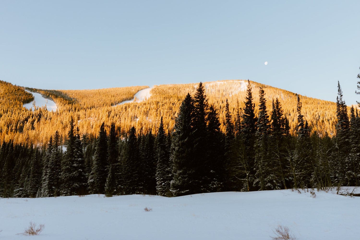 Landscape of snow covering the ground with forest, mountain, and full moon at Indian Peaks, in Colorado. 