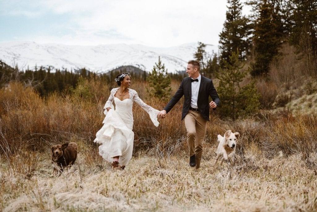 Bride and groom hike with their dogs at Loveland Pass, in Colorado. There is a forest in the background and snow-capped mountains. 