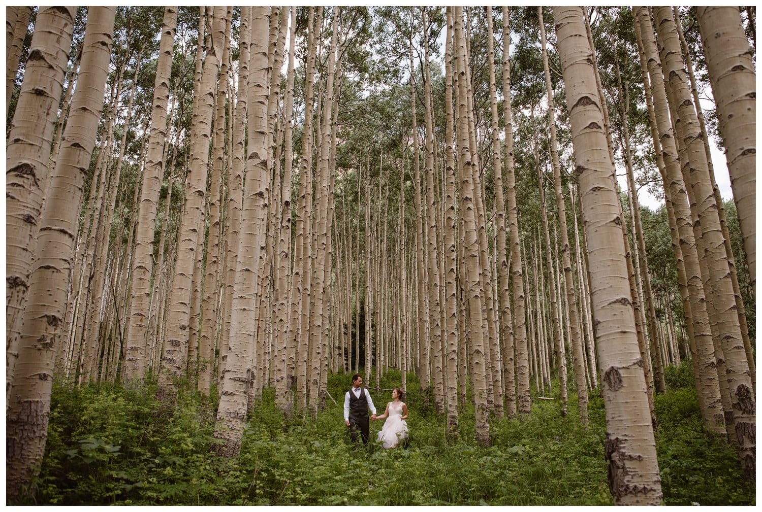 Bride and groom hold hands and walk through an aspen forest near the Maroon Bells, in Colorado. 