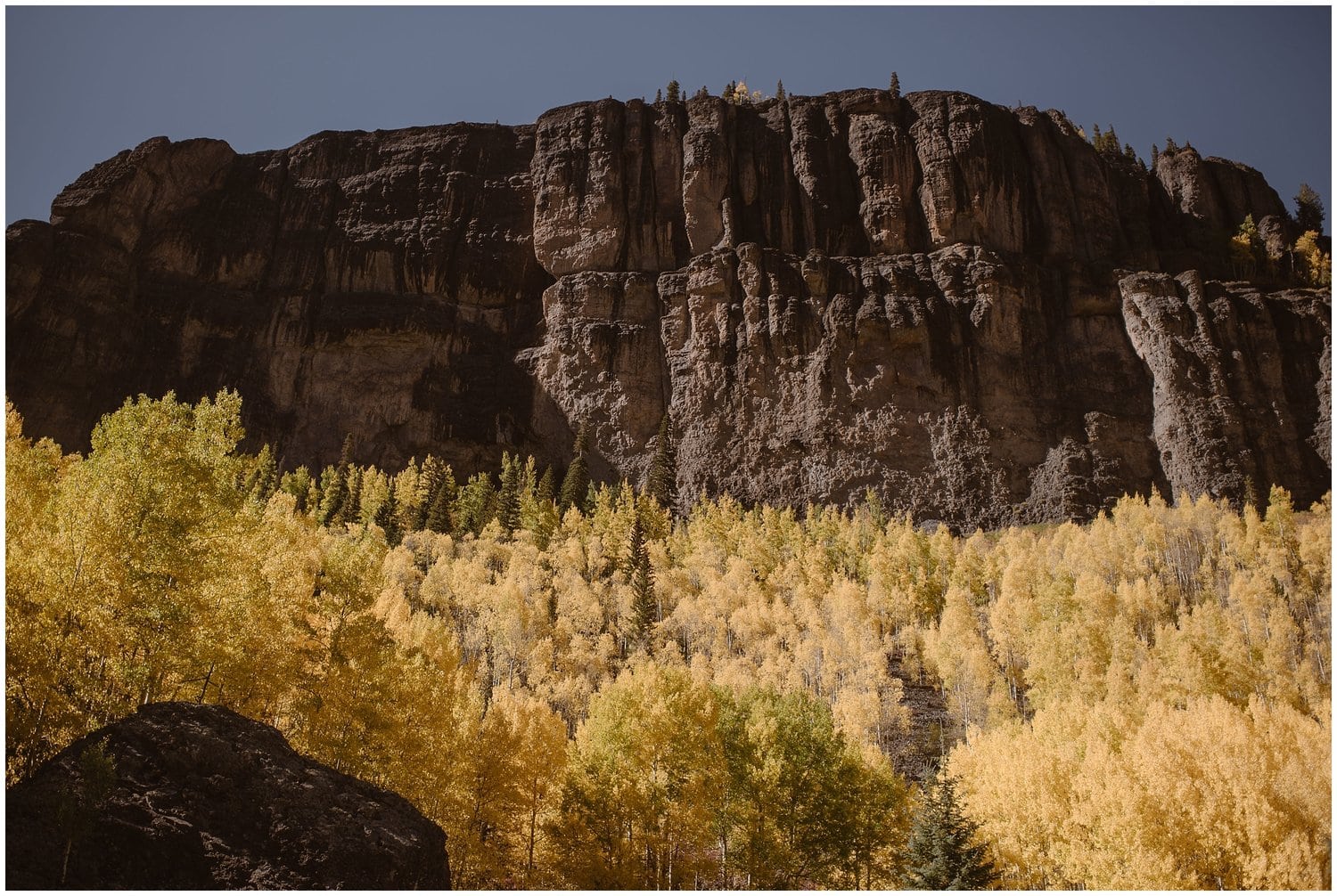 Landscape of mountain and golden trees in the fall in Ouray, Colroado. 