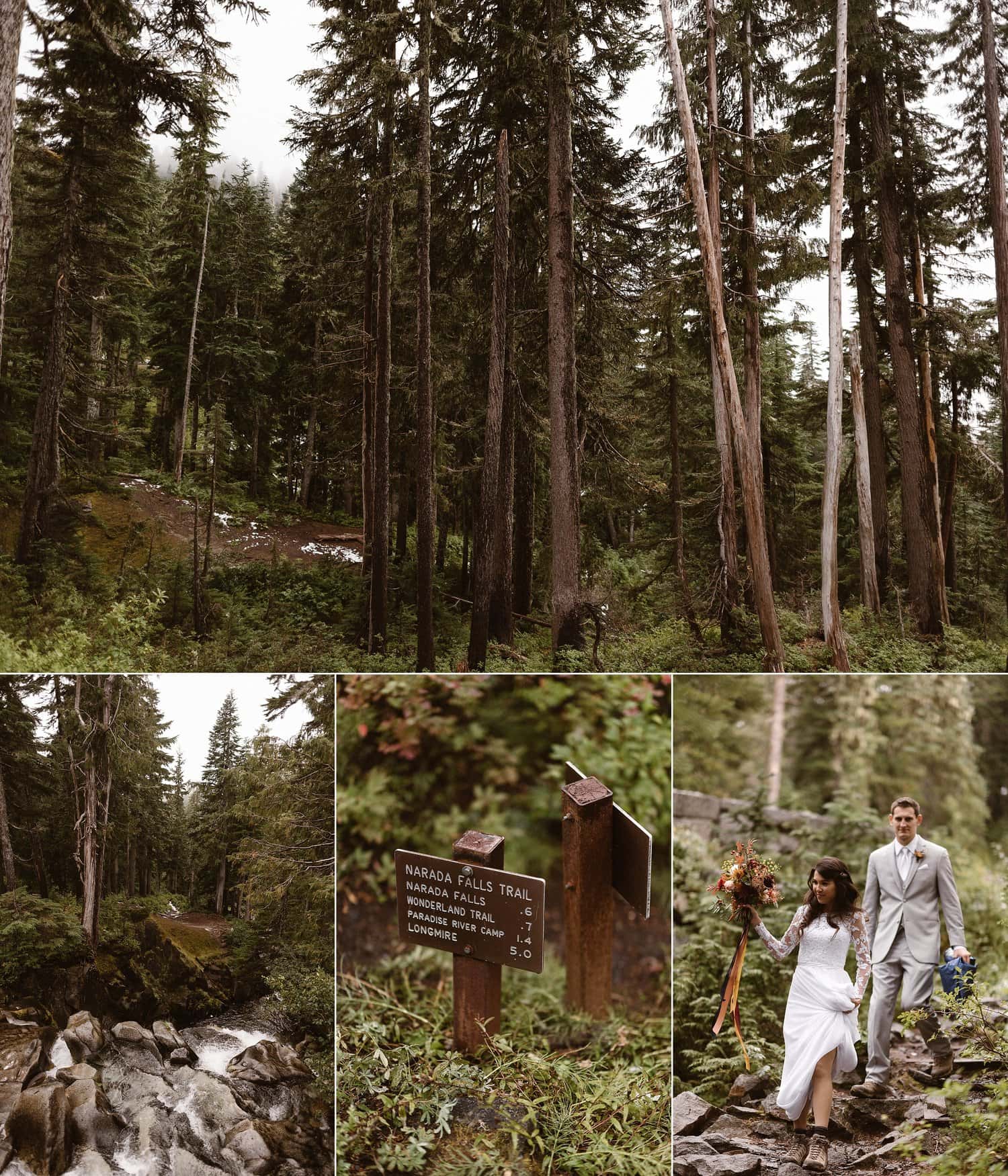 Bride and groom hiking at Mt. Rainier National Park on their elopement day. 
