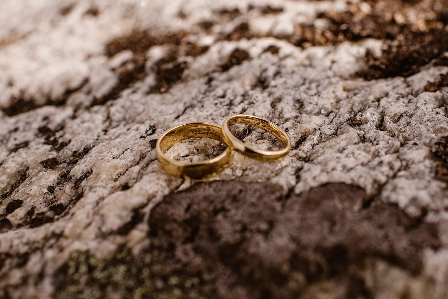 Close-up of the bride and groom's gold rings. 