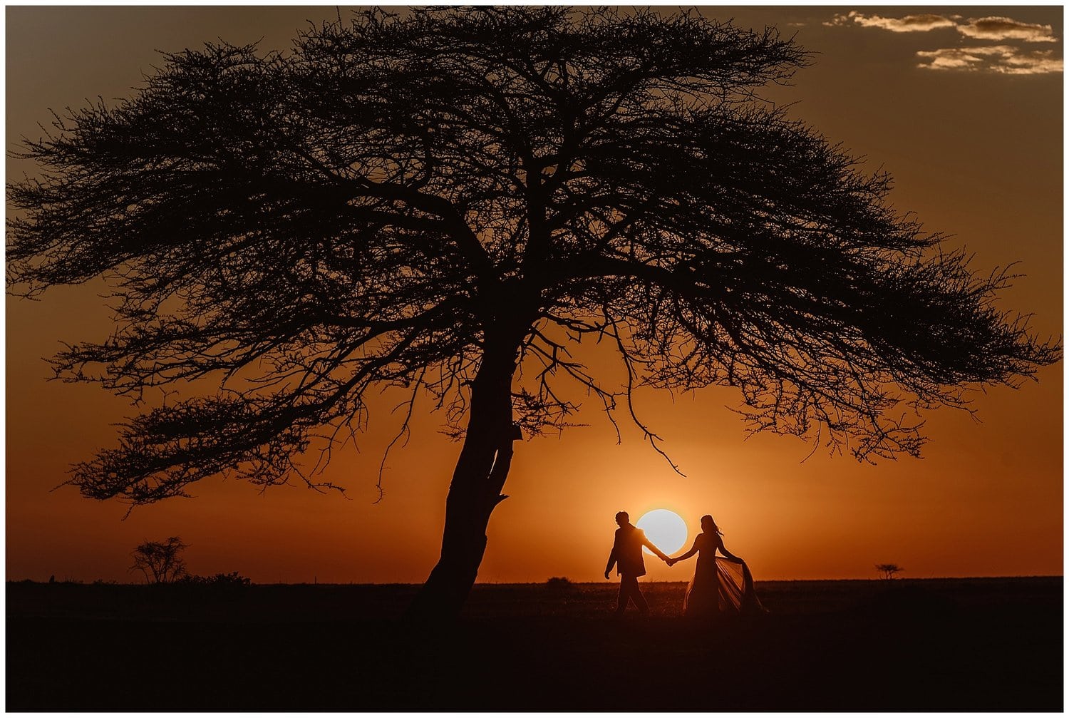 Bride and groom holding hands and walking under tree, with sunset behind them. 