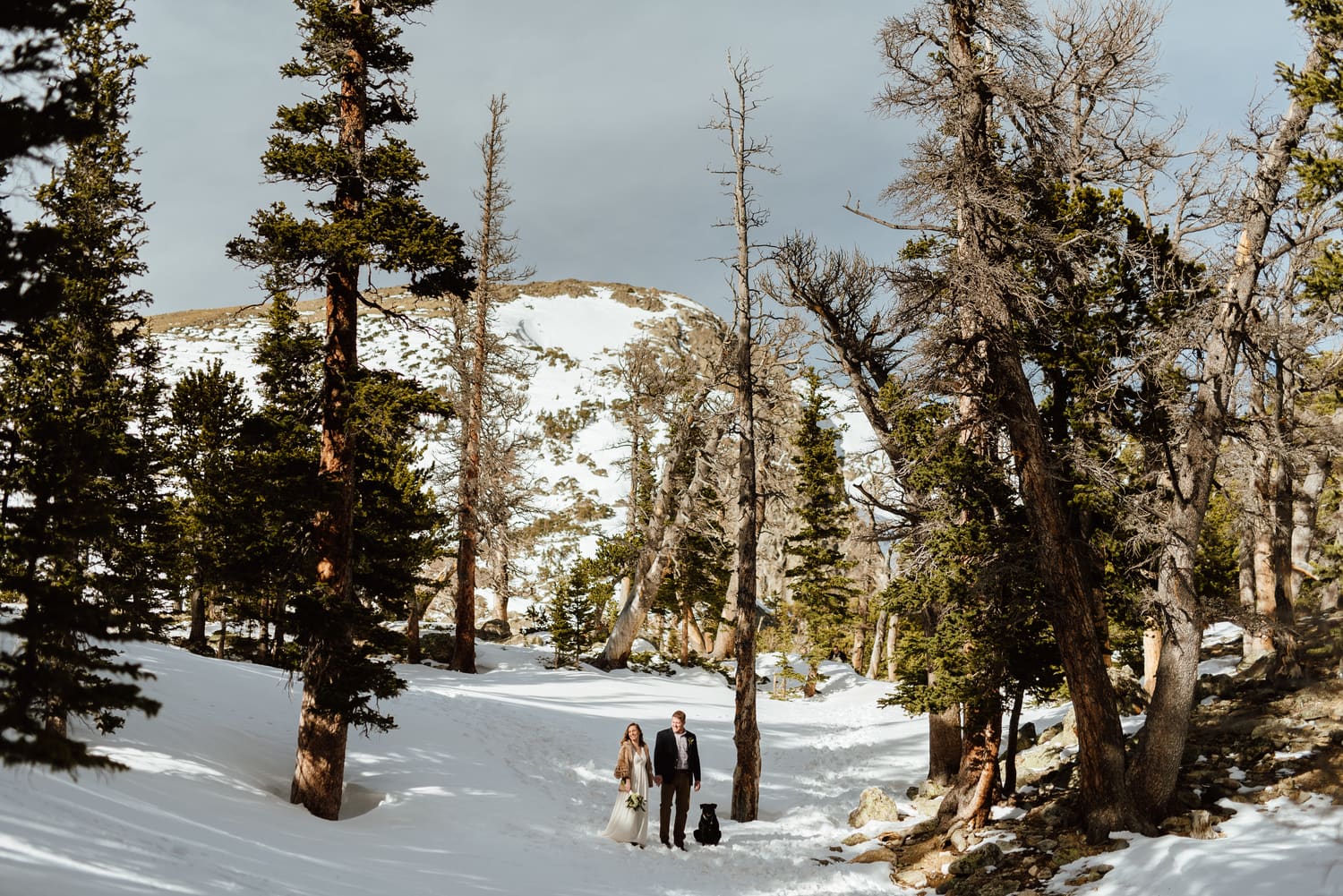 Bride and groom standing with their dog, surrounded by trees and snow at St. Mary's Glacier in Idaho Springs, Colorado. 