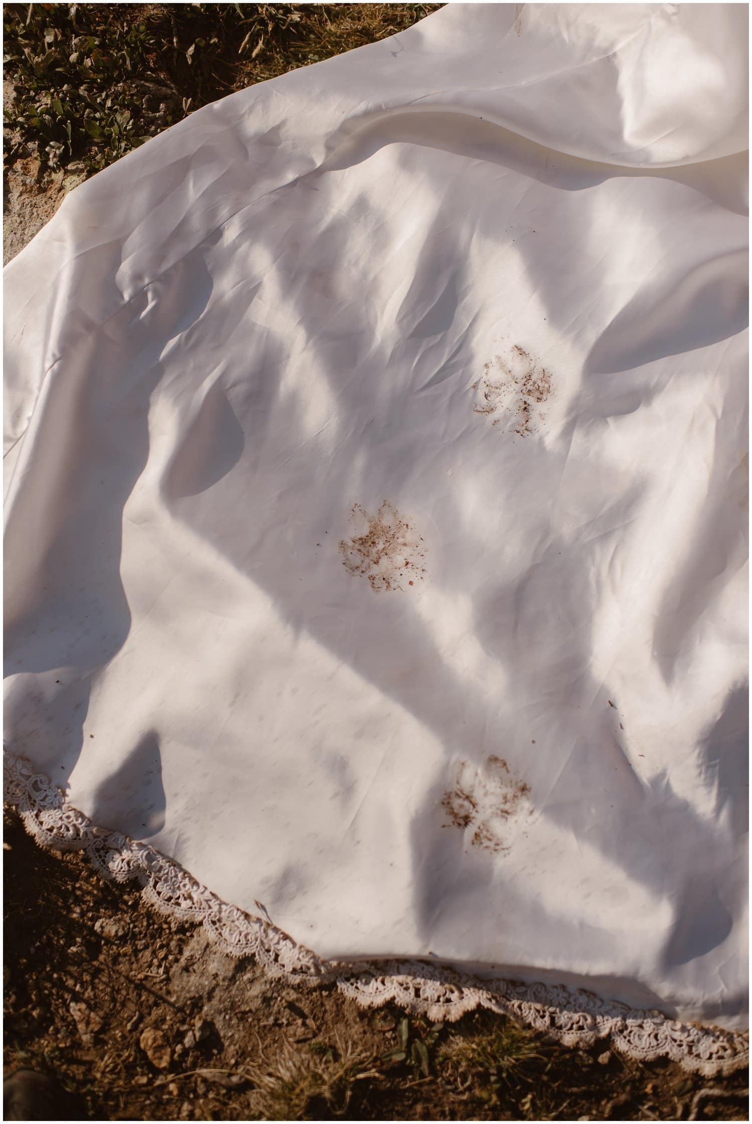 muddy dog paw prints across the train of the bride's dress. 