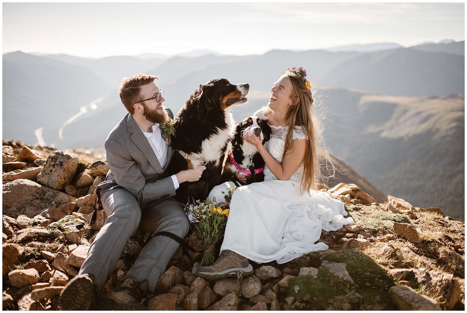 Bride and groom laugh as they cuddle their two dogs on top of mountain. 