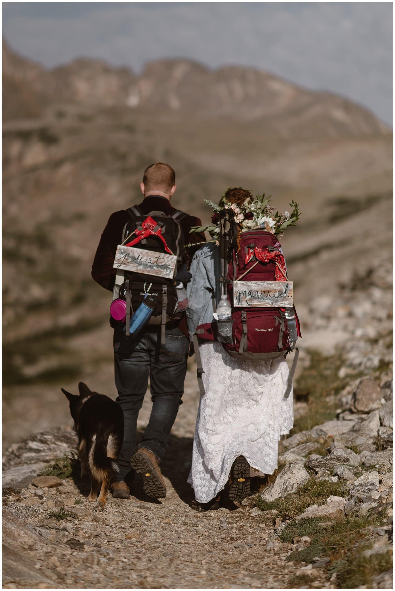 Bride and groom walk on trail with their dog. Wooden signs that say 
