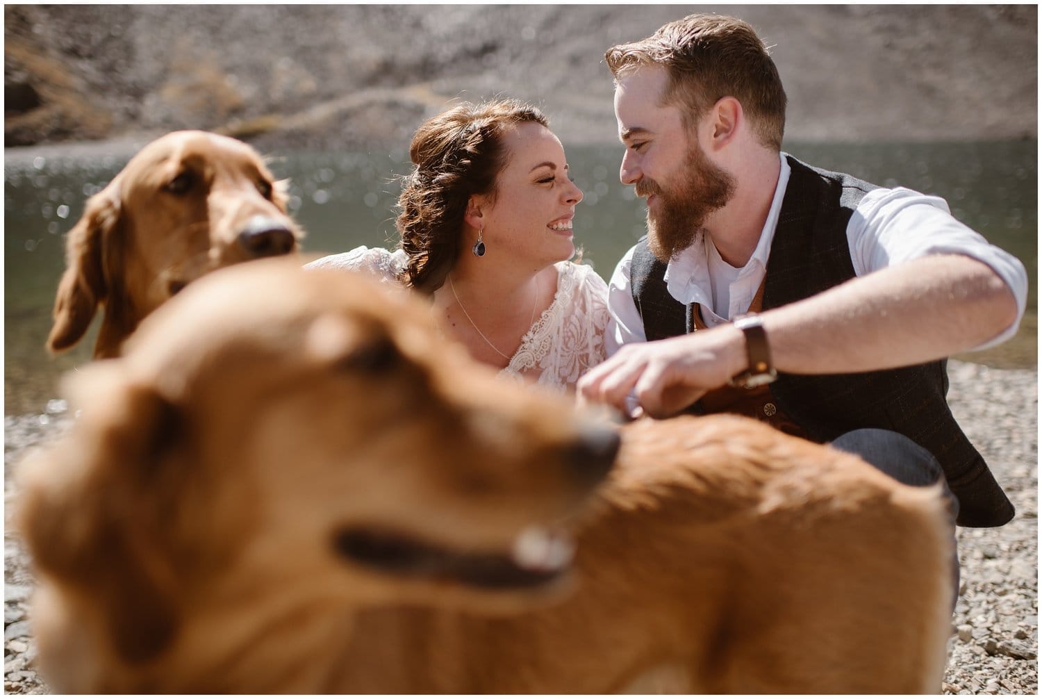 A bride and groom smile at each other with their two dogs by their side.