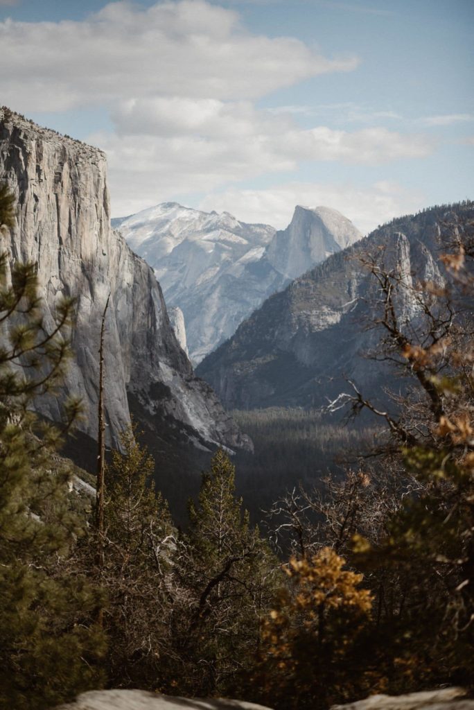 Landscape of mountains and forest in Yosemite National Park. 