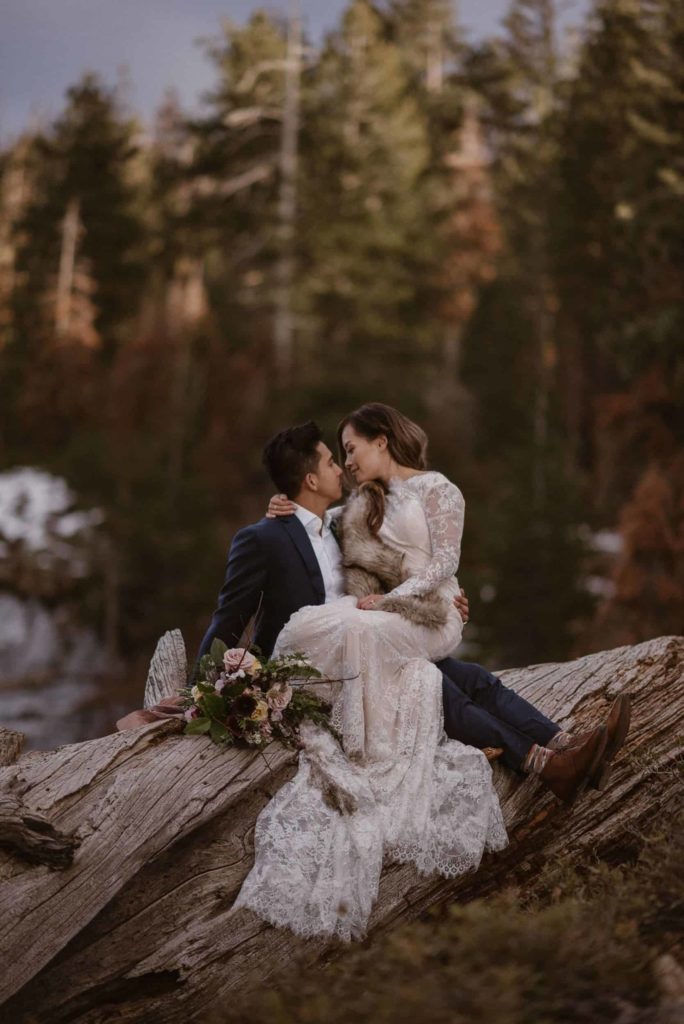 Groom holds bride while they sit on fallen tree in Yosemite National Park. 