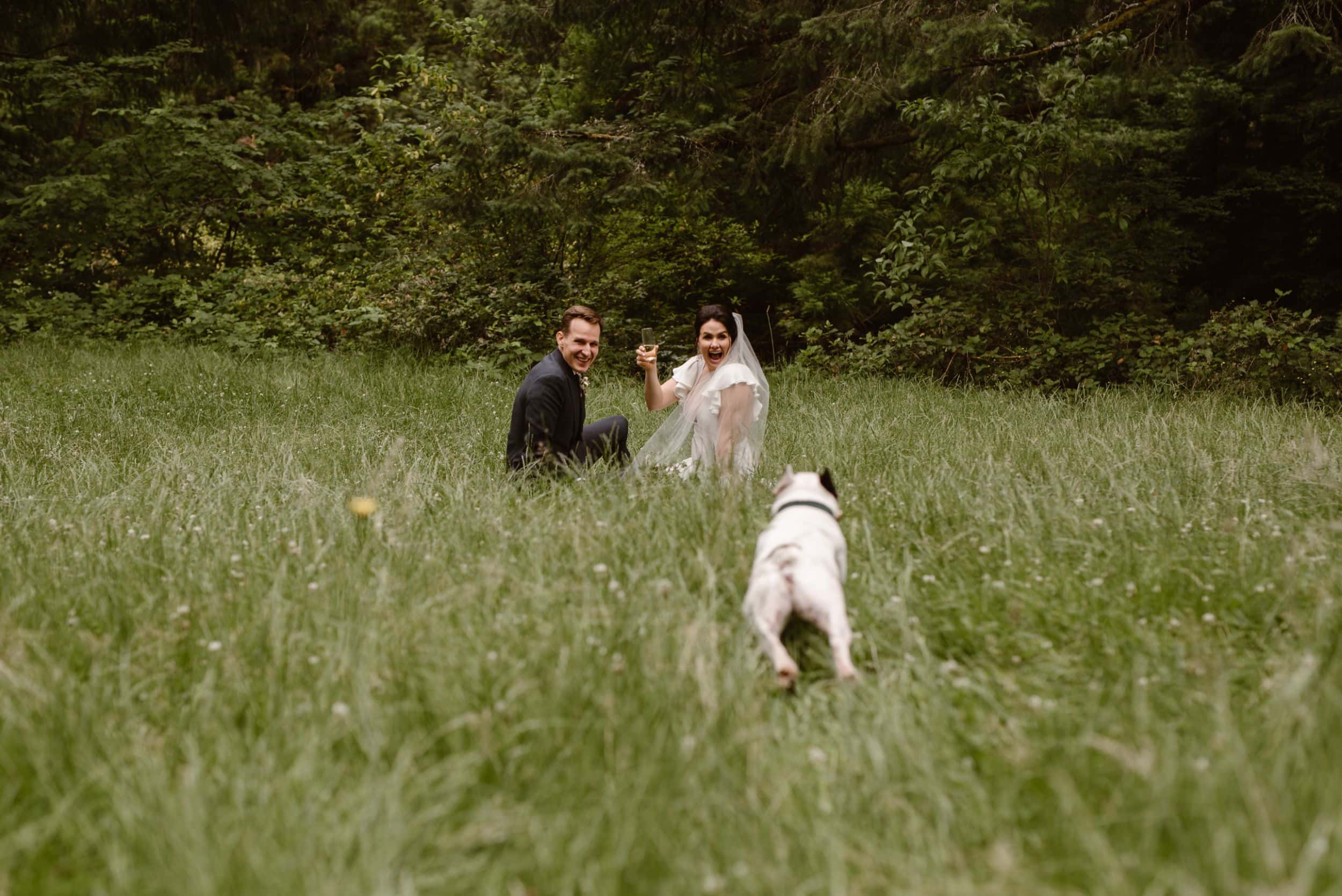 Bride and groom sitting in a meadow drinking champagne, while their dog runs toward them. 