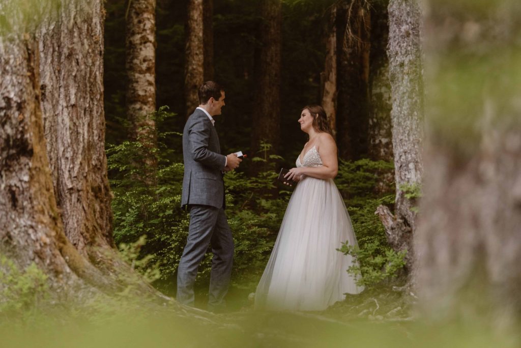 Bride and groom say their vows, surrounded by trees in Washington State Forest. 