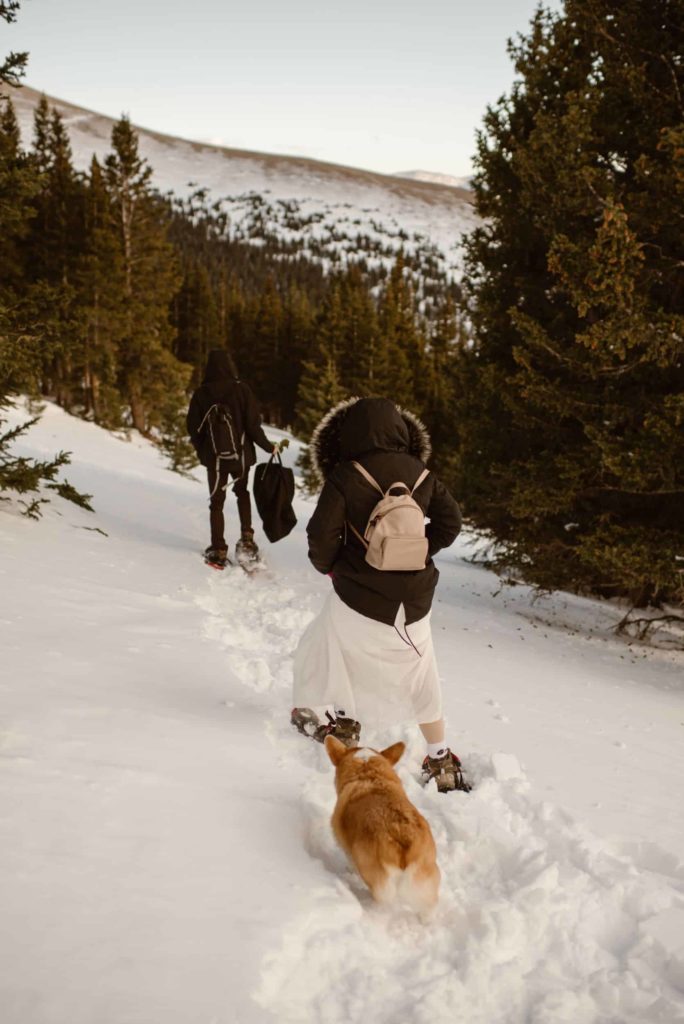 Bride and groom hiking through snow with their dog.