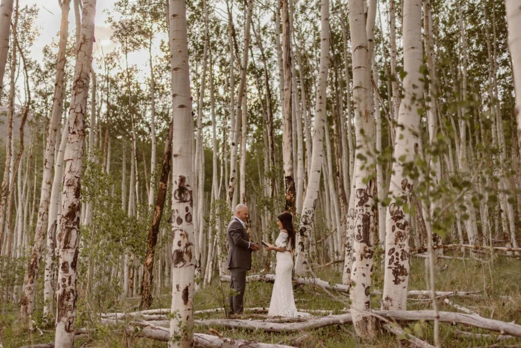 Bride and groom read their vows in an aspen grove. 