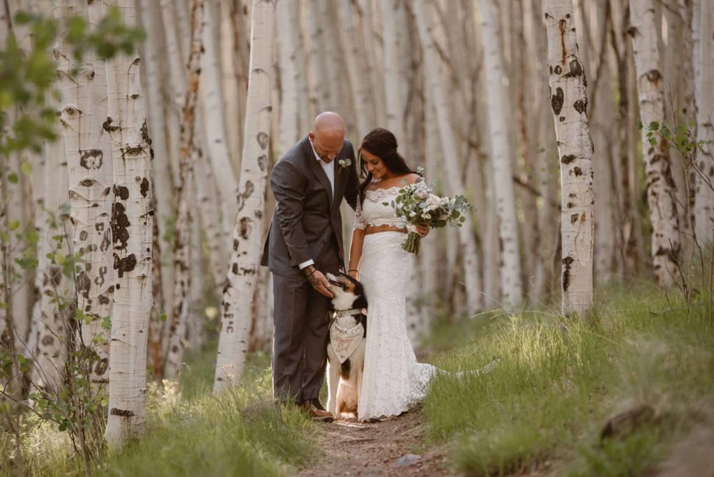Bride and groom with their dog in an aspen grove. 
