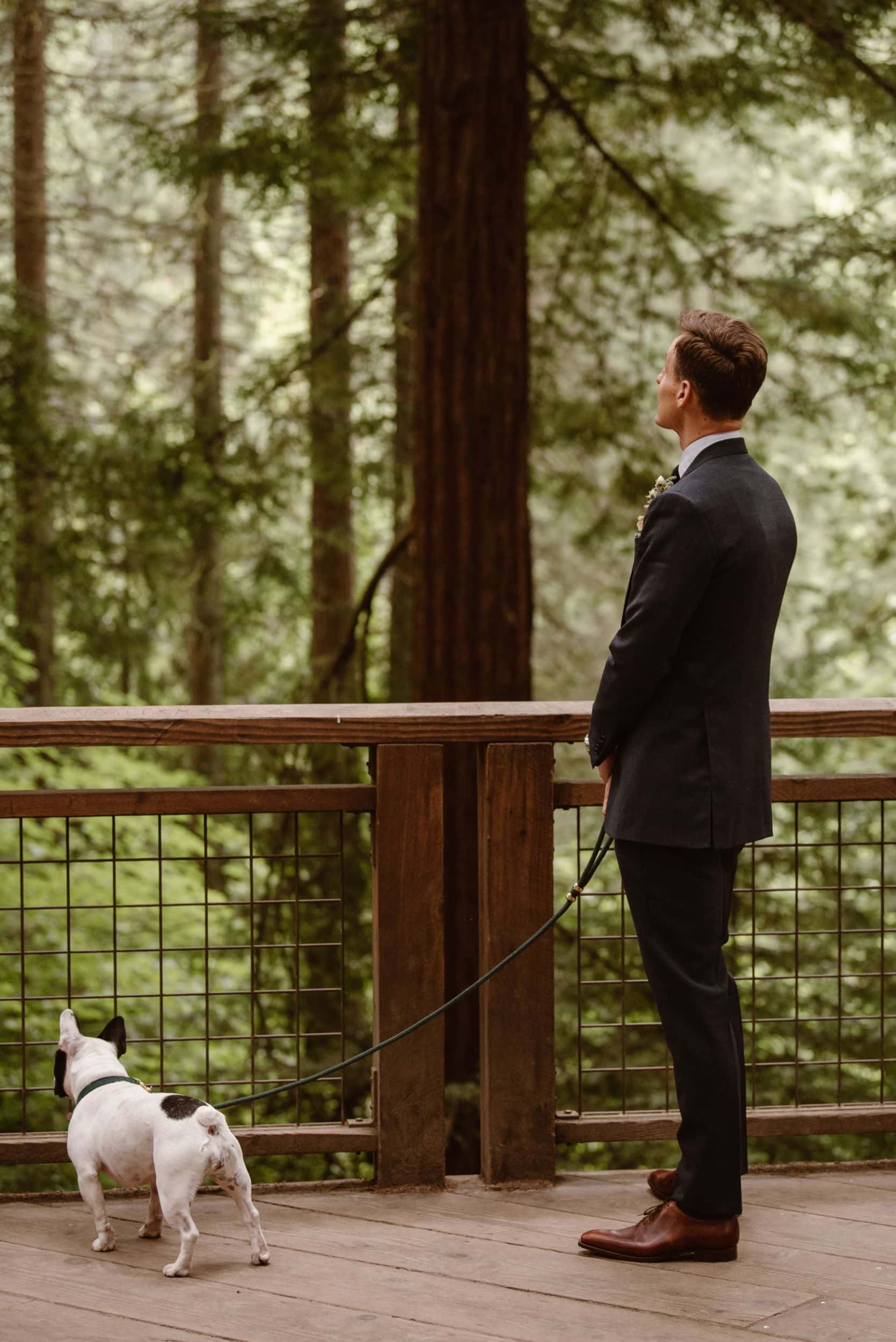 Groom standing on the Redwood Deck with dog at Hoyt Arboretum in Portland, Oregon. 