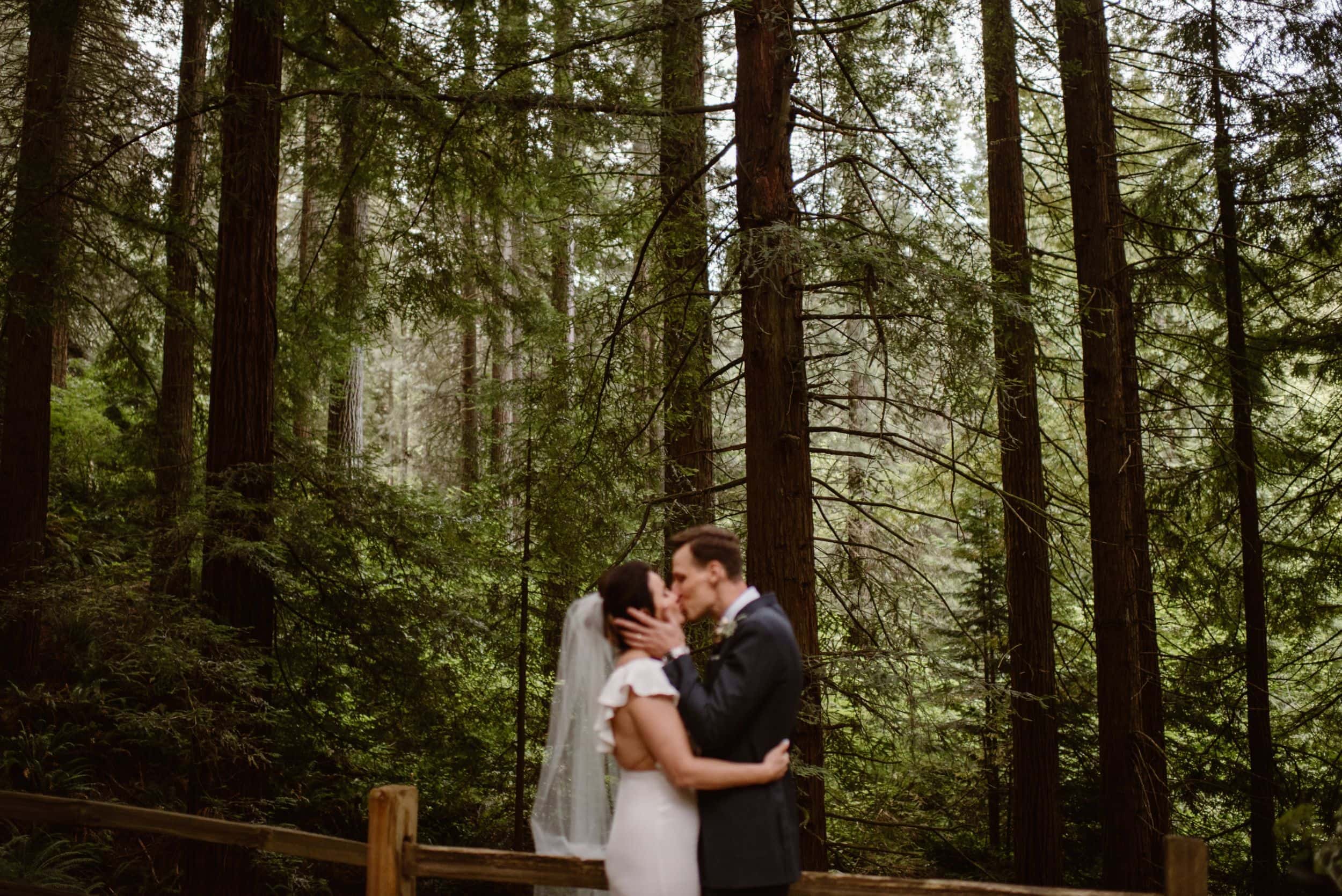 Bride and groom kiss at the Redwood Deck at Hoyt Arboretum in Portland, Oregon.