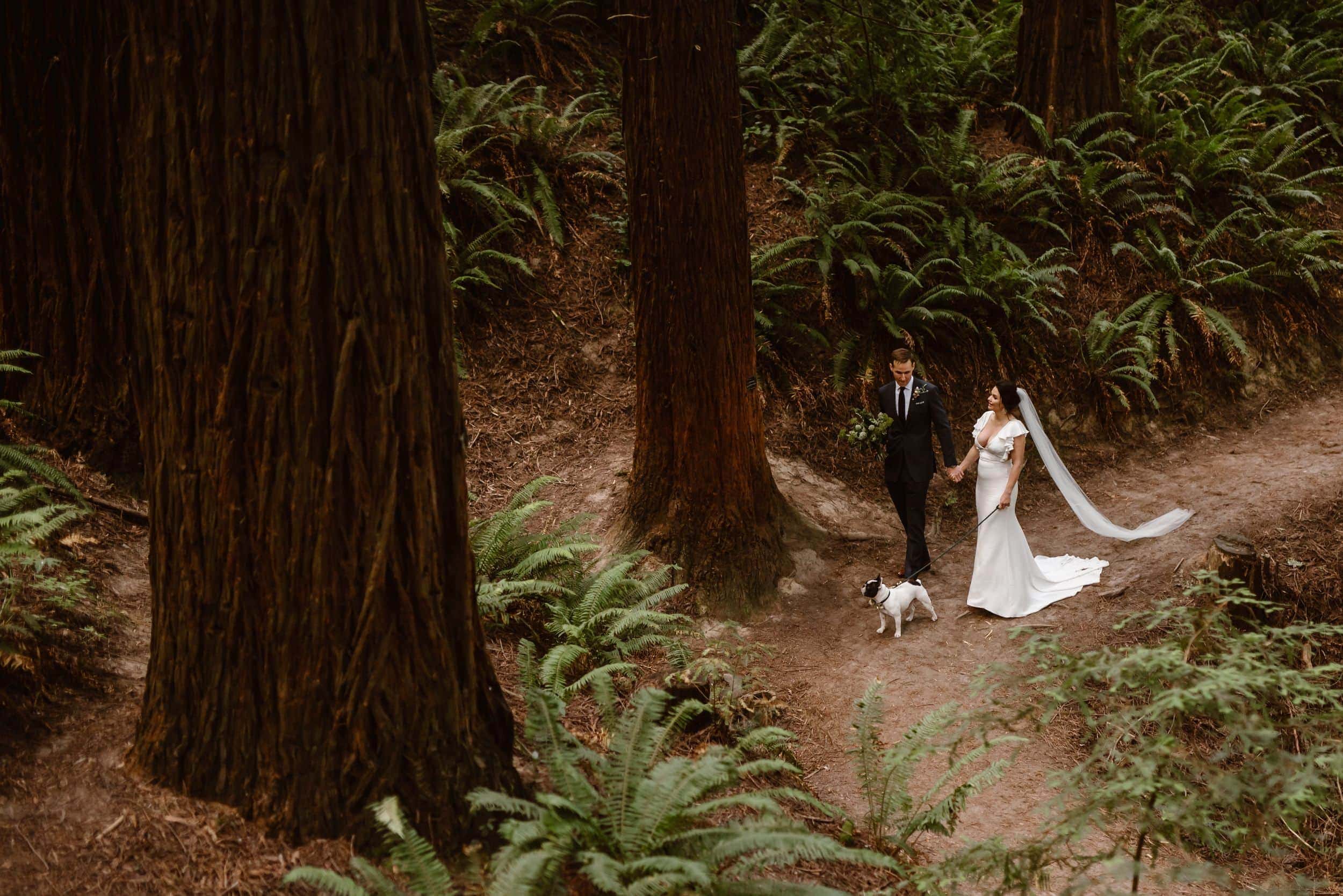 Bride and groom walk through Forest Park in Portland, Oregon with their dog. 