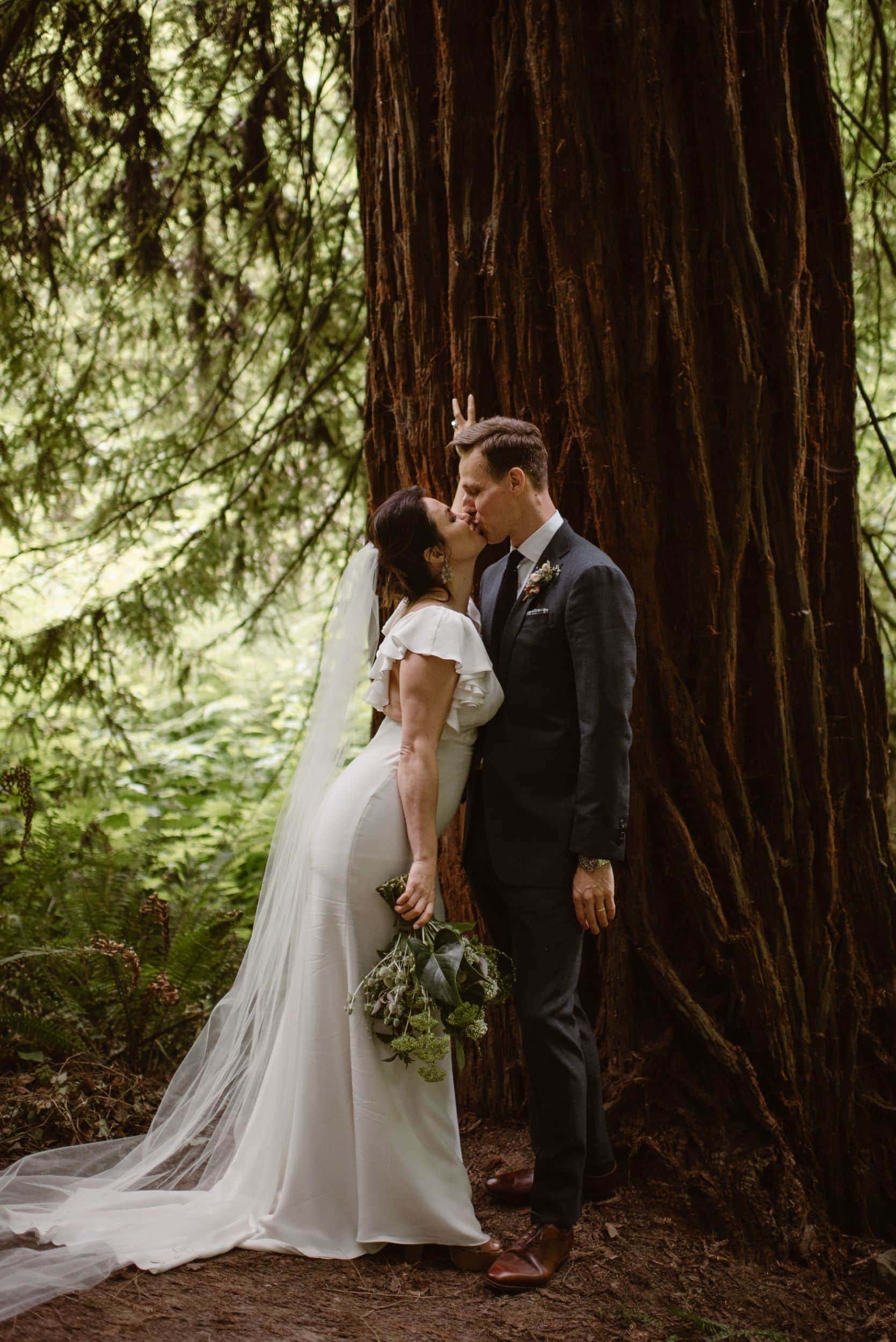 Bride and groom kiss in front of a redwood tree. They are in Forest Park in Portland, Oregon. 