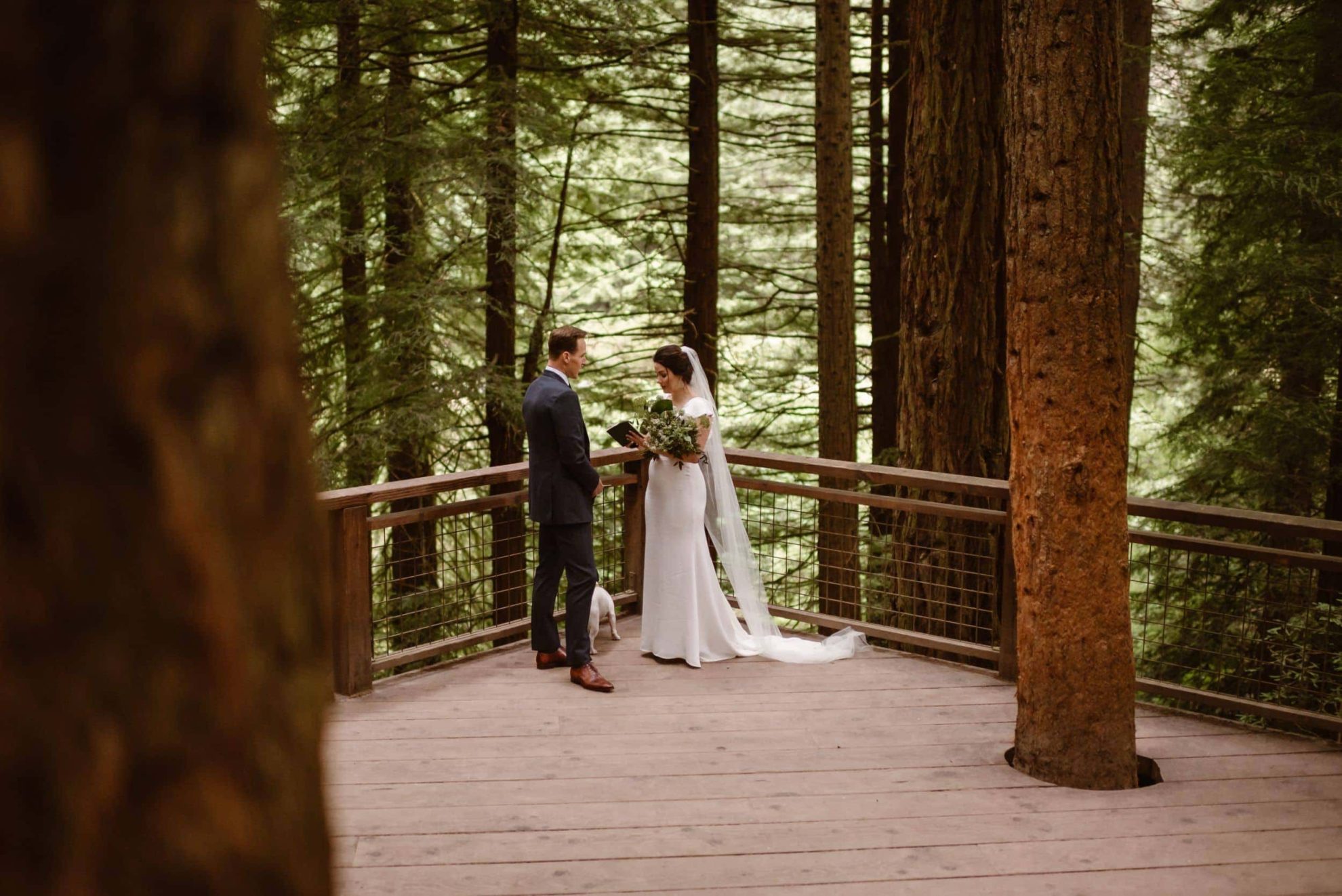 Small Wedding Venues In Oregon Oregon Elopement Photographers 