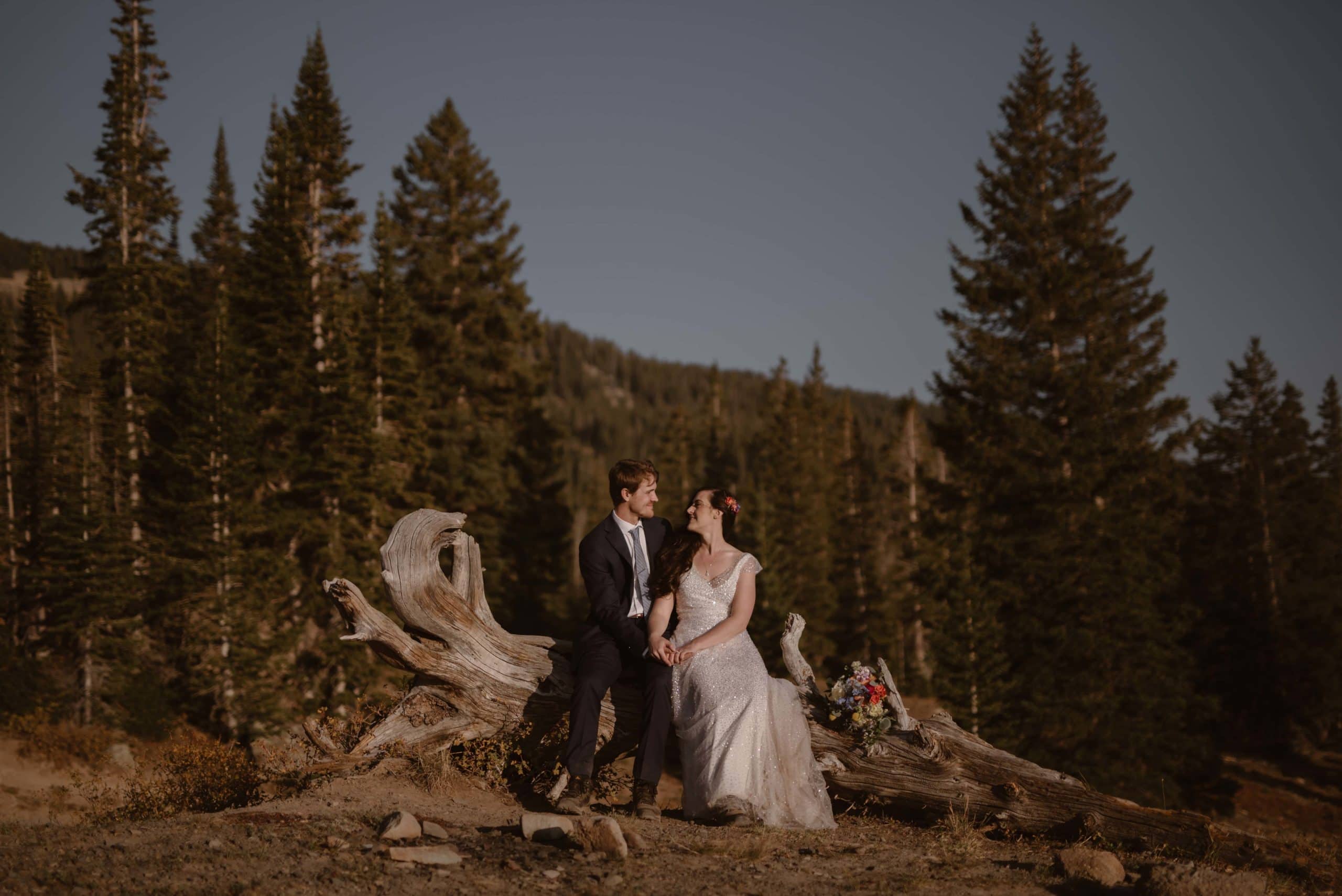 Bride and groom sit on a fallen tree while holding hands in Crested Butte, Colorado. There is a forest behind them. 